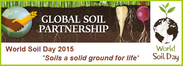 World Soil Day 