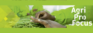 Annual Network Day 2015