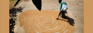 Seminar: Nutrition in Sustainable Development – Africa on its way from undernutrition to obesity?