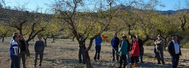 Farmers from cooperation Alvelal watching their almond trees in Southern Spain