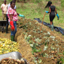 ARF1-3 Improving agricultural productivity using organic waste