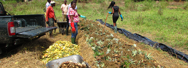 ARF1-3 Improving agricultural productivity using organic waste