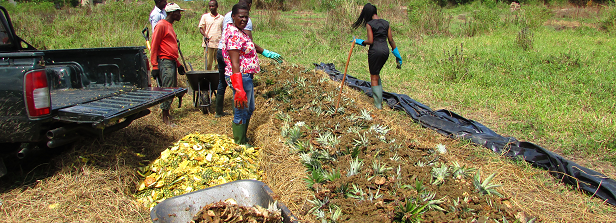 Improving agricultural productivity using organic waste in Ghana (UOWIAP)