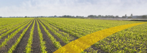 7th Agriculture Science Week and FARA General Assembly