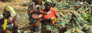 All Africa Horticultural Congress