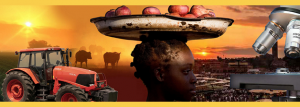 Third Global Conference on Agricultural Research for Development