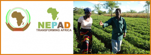 12th CAADP Partnership Platform