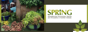 SPRING online conference
