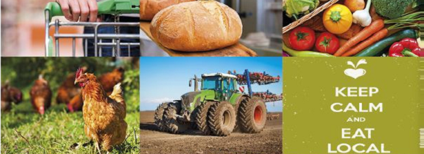 From agricultural to food policy – Towards healthy and sustainable production and consumption.