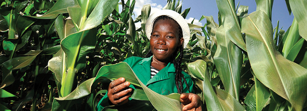 Youth in agriculture