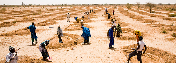 Agricultural policy to stem migration: A look at Syria and the Sahel