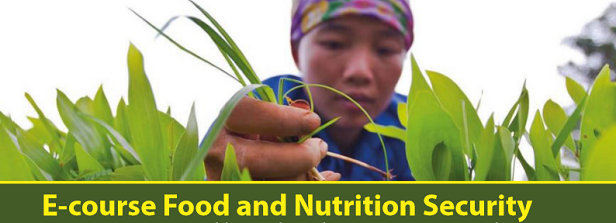 E-course on Food and Nutrition Security