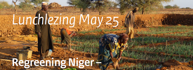Lunch Meeting - Regreening Niger
