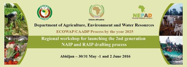 Regional workshop for launching the 2nd generation NAIP and RAIP drafting process