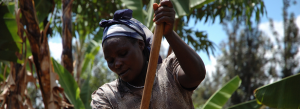 Training Course on Gender Integration in Food and Nutrition Security