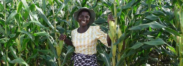 Job opportunities for youth in Africa’s agricultural transformation