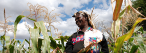 GCP3 Integrated Project - Sustaining food supplies and improving health in Kenya