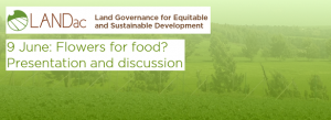 Flowers for food? Presentation and discussion