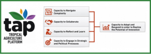 Innovation systems for food security and nutrition: understanding the capacities needed