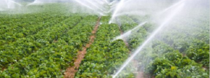 Summer school Climate Smart Agriculture