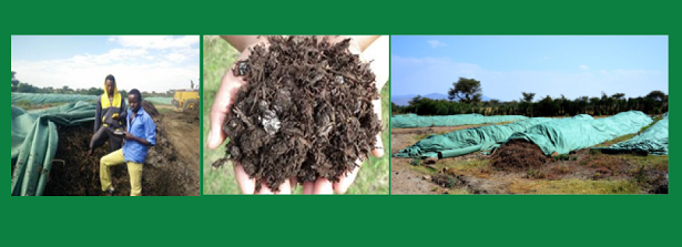 Workshop on Composting for Sustainable Agriculture