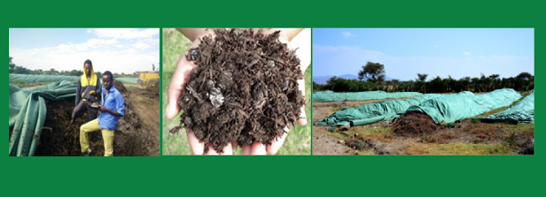 Workshop on Composting for Sustainable Agriculture