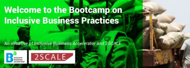 Online Bootcamp Successful Inclusive Business