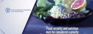 FAO consultation