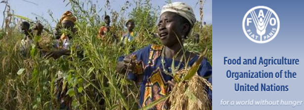 FAO e-conference