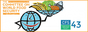 CFS 43