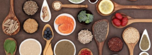 Congress Protein for Life