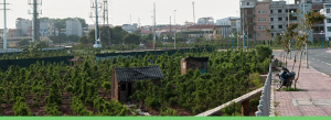 Workshop How to ensure food and nutrition security for all in a rapidly urbanising world