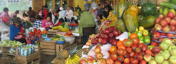 Feeding the Cities