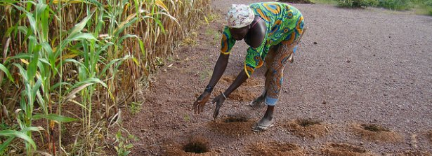 GCP call 4 - Climate Smart Agriculture