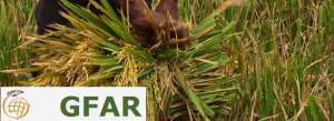 GFAR webinar on March 1, 2017