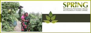 Online webinar SPRING