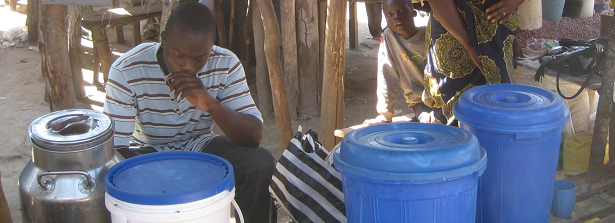 GCP1 Zambian traditional fermented foods