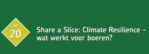 PizzaProFocus - Share a Slice - Climate Resilience