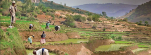 Conference Debate EP "Rural employment and agricultural models"