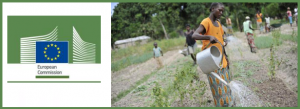 InfoPoint Lunchtime Conference "Nutrition-sensitive food systems: from concepts to practice"