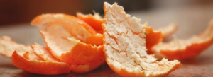 Netwerkbijeenkomst from food waste to food profit