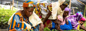 Agricultural Research for Development Conference - 2017
