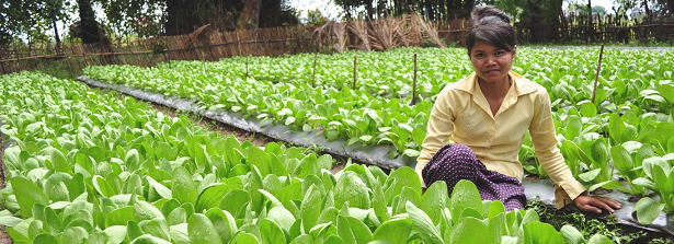 Third Food for All Talk on Seeds