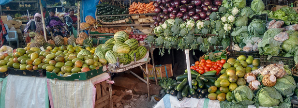 Webinar: How to Address Nutrition in Agricultural Supply Chains