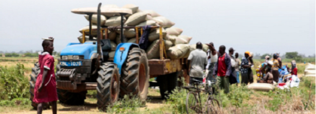 Incubating Agribusiness in Africa