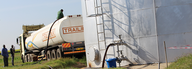 Learning Journey Kenya - Visit 3 Canola (June 2017)