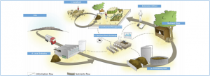 Towards a circular Economy for Soil Nutrient management in Sub-Sahara Africa: from Concept to Business Case