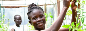 Engaging African youth in agribusiness in a changing climate