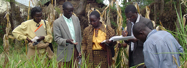 Learning trajectory Agribusiness based agricultural services