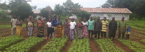 GCP-3FT Allotment gardens and FS in urban Africa - first pilots